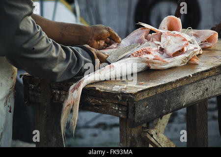 Fischhändler Reinigung Fisch zum Verkauf auf dem Markt Ver-o-Peso - Altstadt Stockfoto