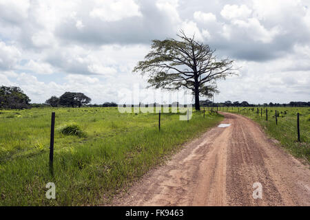 Straße durch das Land-Land im Dorf Joanes - Ilha do Marajó Stockfoto