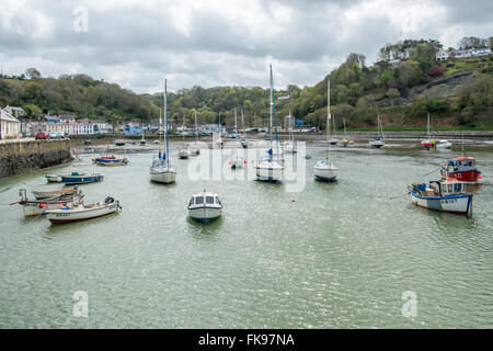 Unteren Fishguard oder Abergwaun, einem kleinen Fischerdorf in der Nähe von Fishguard auf Pembrokeshire Coast, West Wales, UK, bei Flut Stockfoto