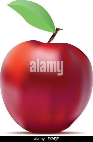 Red Apple mit Stiel und grünes Blatt mit Schatten. Realistische Vektor-Illustration isoliert auf weiss Stock Vektor