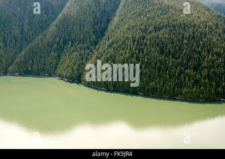 Eine Luftaufnahme des Gletscherschlammwassers von Rivers Inlet, im Great Bear Rainforest, der zentralen Pazifikküste von British Columbia, Kanada. Stockfoto