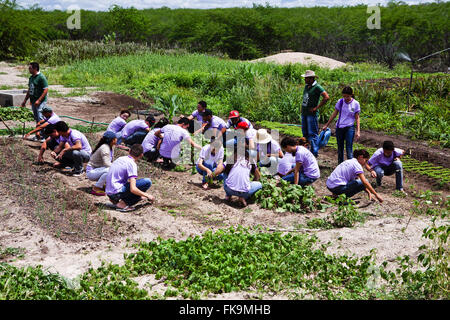 Schüler von Dom Fragoso Familie Schule Agricola im Feld "Klasse" in der Landschaft Stockfoto