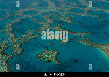 Luftaufnahme von Hardy Reef, Heimat der Heart Reef in das Great Barrier Reef Stockfoto