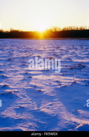 Orange Sonnenuntergang über schneebedeckten Feldern Stockfoto