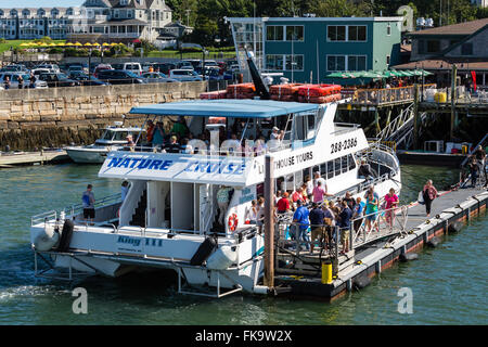 Touristen, die Natur-Tour in Bar Harbor einsteigen Stockfoto