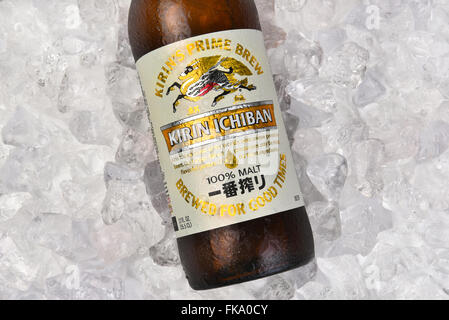 Kirin Ichiban Flasche auf einem Bett aus Eis, Querformat Closeup des Labels. Stockfoto