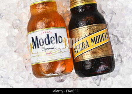 Zwei Modelo Bierflaschen auf einem Bett aus Eis. Negra Modelo und Modelo Especial im Querformat. Stockfoto