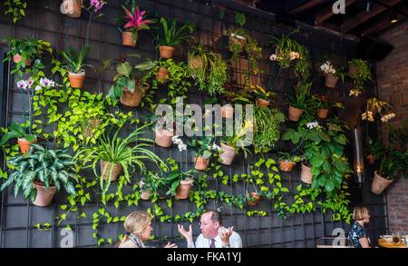 Orlando, FL, USA. 4. Februar 2016. Das Essen ist hervorragend auf Prata in Winter Park, Florida. © Alexis Simpson/ZUMA Draht/Alamy Live-Nachrichten Stockfoto