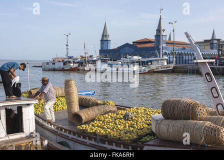 Boot mit Obst in der Hafenmarkt Ver-o-Peso in der Bucht von Guajara entladen wird Stockfoto