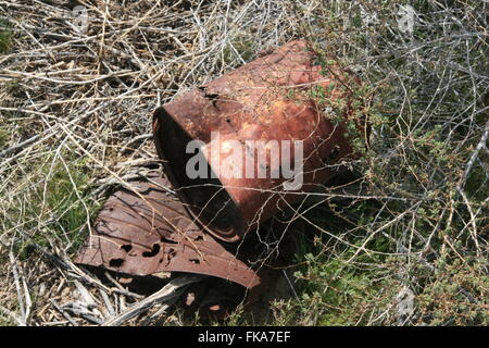 Zinn kann Wüste "Trash" Stockfoto