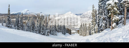 Ein Panoramablick über den Hades laufen im Fegefeuer Ski Resort in San Juan National Forest in Colorado. Stockfoto