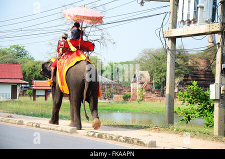 Reisende, die auf Elefanten auf Tour rund um die antike Stadt Ayutthaya in Ayutthaya, Thailand Stockfoto