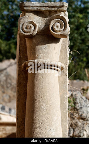 Spalte der ionischen Ordnung Stockfoto