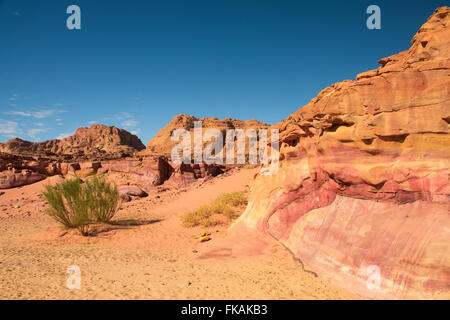 Sinai Wüste Landschaft Stockfoto