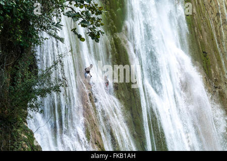 junge Männer, die einen Sprung in den Wasserfall Salto El Limon in Limon in der Nähe von Las Terrenas, Samana, Dominikanische Republik, Karibik, Amerika Stockfoto