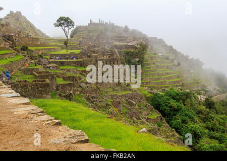 Peru, Cuzco, alte Ruinen von Machu Picchu Stockfoto