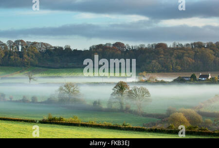 Nebel liegt im Tal bei Milborne Wick, Somerset, England, UK Stockfoto