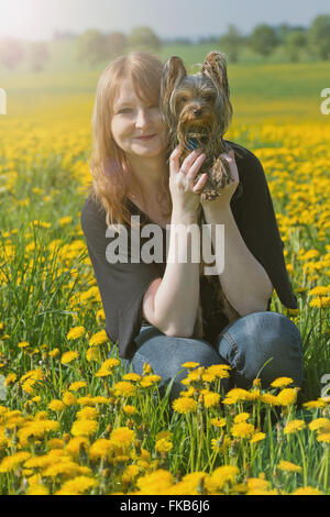 Junge Frau mit roten Haaren sitzt auf einer blühenden Löwenzahn Wiese. Yorkshire Terrier Welpen hält in ihren Armen. Stockfoto