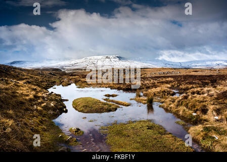 Eine schneebedeckte Ingleborough am Horizont, gesehen von den Mauren über Horton in Ribblesdale, North Yorkshire, UK. Stockfoto