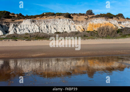 Naturdenkmal Klippen von Asperillo, Donana natürlichen park, Almonte, Huelva Provinz, Region von Andalusien, Spanien, Europa Stockfoto