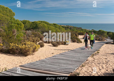 Naturdenkmal Klippen von Asperillo Cuesta Maneli, Donana natürlichen park, Almonte, Huelva Provinz, Region von Andalusien, Spanien, Europa Stockfoto