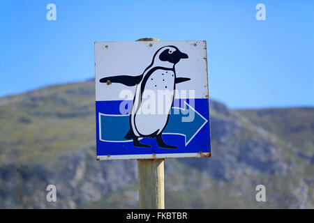 Wegweiser, Pinguine, Roadsign, Richtung, Pinguine, Bettys Bay, Western Cape, Südafrika, Afrika Stockfoto