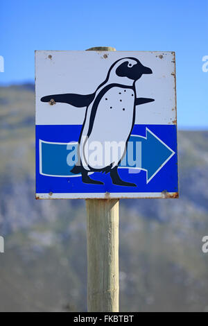 Wegweiser, Pinguine, Roadsign, Richtung, Pinguine, Bettys Bay, Western Cape, Südafrika, Afrika Stockfoto