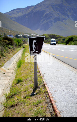 Wegweiser, Pinguine, Roadsign, Richtung, Pinguine, Bettys Bay, Western Cape, Südafrika, Afrika Stockfoto