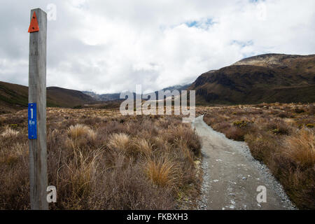 Öffentliche Tritte Spur im Tongariro Nationalpark in Neuseeland Stockfoto