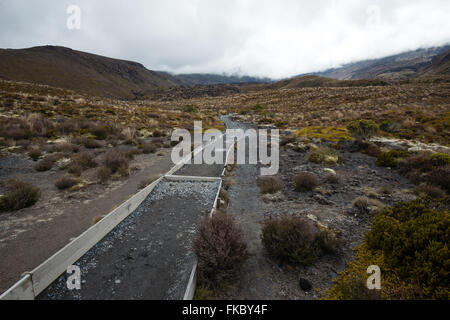 Öffentliche Tritte Spur im Tongariro Nationalpark in Neuseeland Stockfoto