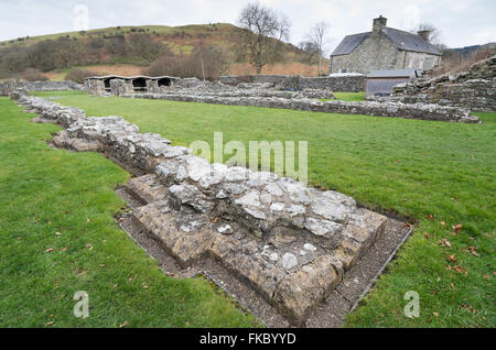 Zisterzienserabtei Strata Florida, Tregaron. Stockfoto