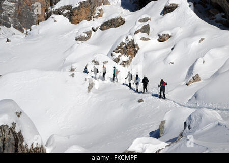 Gruppe von Menschen-Schneeschuhwandern in den Cinque Torri Bereich (die 5 Türme der Falzarego) in den italienischen Dolomiten Stockfoto