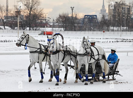 Eine drei-Horse-drawn Troika im Winter, Russland Stockfoto