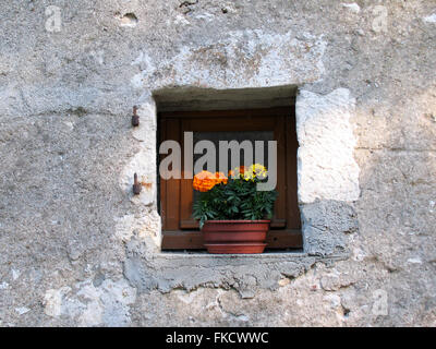 Ein Blumentopf auf eine kleine Fensterbank. Stockfoto