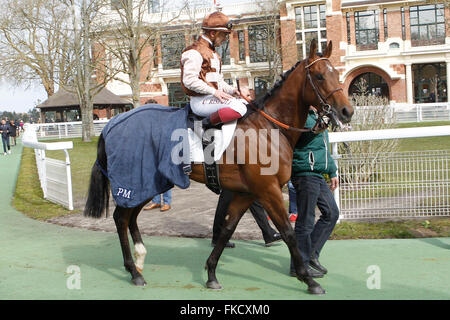 Deauville, Frankreich. 8. März 2016. Rennen 2. De La Varenne behauptet Einsätze. Gewinner-Sterling-Linien mit Umberto Rispoli Guthaben aufladen: Action Plus Sport/Alamy Live News Stockfoto