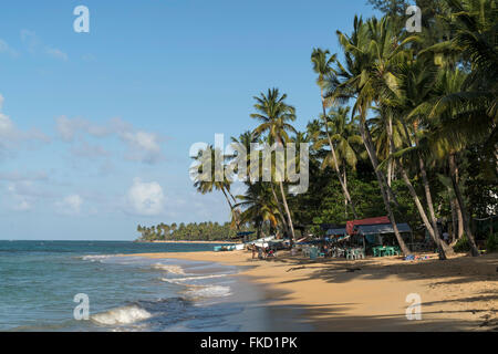 Las Terrenas Strand, Samana, Dominikanische Republik, Karibik, Amerika, Stockfoto