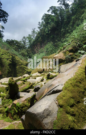 Felsen bedeckt von Moos in einem Wald, Costa Rica Stockfoto