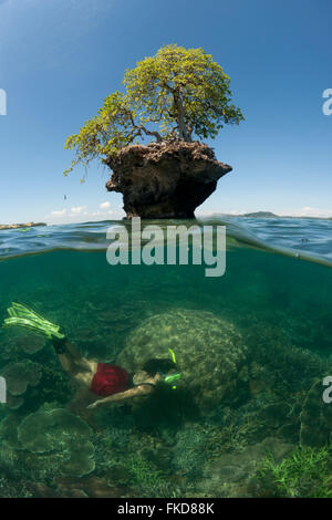 Split Level einer kleinen Insel Aufschlüssen mit einem einzigen Baum und Korallenriffe unter Wasser mit Schnorchler. Stockfoto