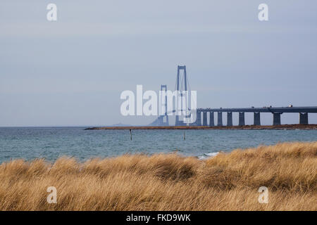 Großen-Belt-Brücke aus der Sealand-Seite mit grasbewachsenen Küste in der front Stockfoto