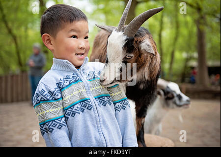 Ziege schnüffeln auf jungen Hemd im Münchner Tierpark Hellabrunn Stockfoto