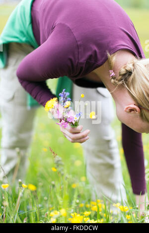 Frau Kommissionierung Wildblumen Wiese Stockfoto