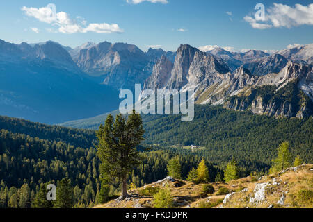 Blick über Cristallo und die Dolomiten von Ciadin del Luodo, Provinz Belluno, Region Venetien, Italien Stockfoto