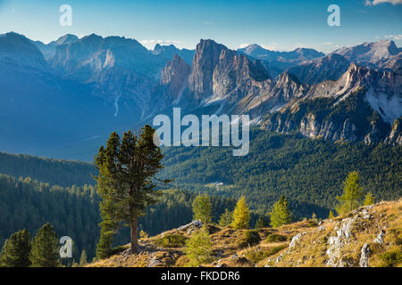 Blick über Cristallo und die Dolomiten von Ciadin del Luodo, Provinz Belluno, Region Venetien, Italien Stockfoto