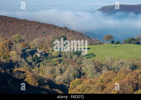 Herbstfarben in Aller Combe, Dunkery Leuchtfeuer, Exmoor National Park, Somerset, England, UK Stockfoto