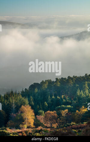 Herbstfärbung nr Webbers Post mit Nebel hängt über den Holnicote Estate, Exmoor National Park, Somerset, England, UK Stockfoto