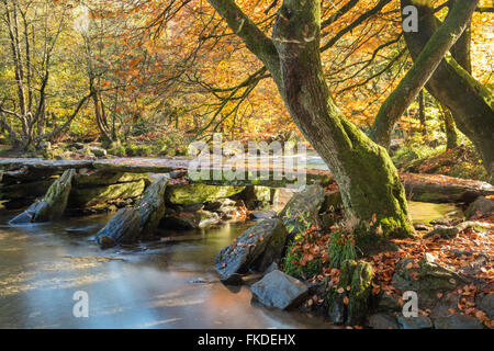 Tarr Steps Klöppel Brücke über den Fluss Barle, Exmoor National Park, Somerset, England, UK Stockfoto