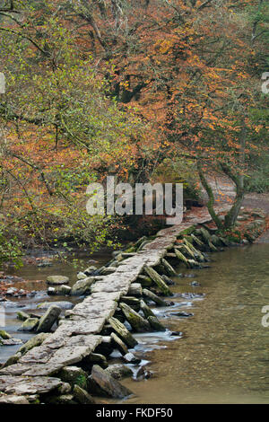 Tarr Steps Klöppel Brücke über den Fluss Barle, Exmoor National Park, Somerset, England, UK Stockfoto