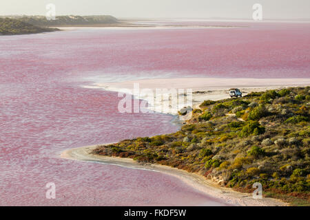 troopy an den Ufern der Lagune rosa Hutt im Port Gregory, West-Australien Stockfoto