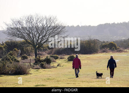 Menschen, die ihre Hunde im New Forest National Park, Hampshire, UK Stockfoto