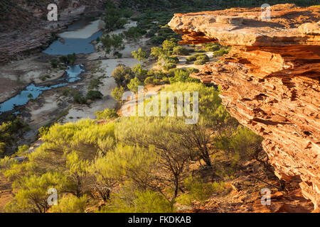 der Murchison River Gorge vom Fenster "Naturen" Kalbarri National Park, Western Australia Stockfoto